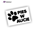 Naklejka PIES W AUCIE