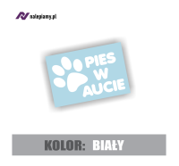 naklejka pies w aucie 3.jpg