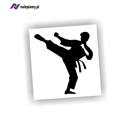 Karate taekwondo 1.jpg