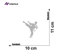 Karate taekwondo 6.jpg