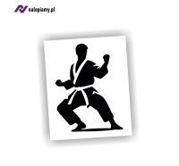 naklejka karateka karate taekwondo 1.jpg