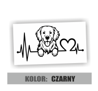 Naklejka pies Golden Retriever 3.jpg