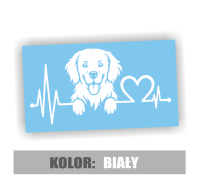 Golden Retriever 2.jpg