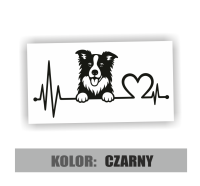 Naklejka linia życia pies rasy Border Collie 3.jpg