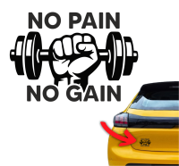 Naklejka no pain no gain siłownia 1.jpg