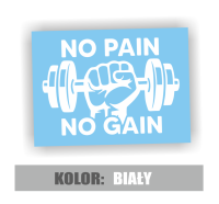 Naklejka no pain no gain siłownia 5.jpg