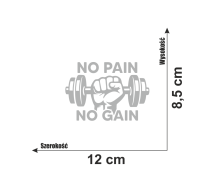 Naklejka no pain no gain siłownia 7.jpg