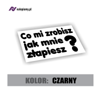 Co mi zrobisz jak mnie złapiesz2.jpg