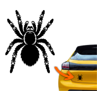Naklejka pająk tarantula ptasznik 1.jpg
