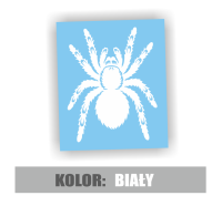 Naklejka pająk tarantula ptasznik 5.jpg