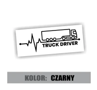 truck driver ciężarówka 2.jpg