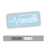 truck driver ciężarówka 4.jpg
