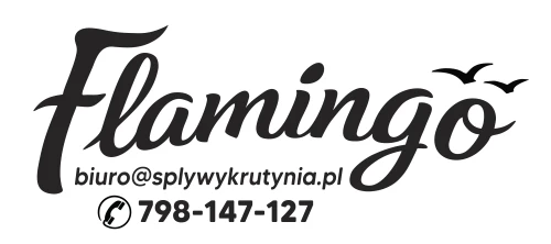 flamingo 1.jpg